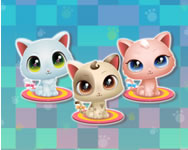 Cute Kitty care játékok ingyen
